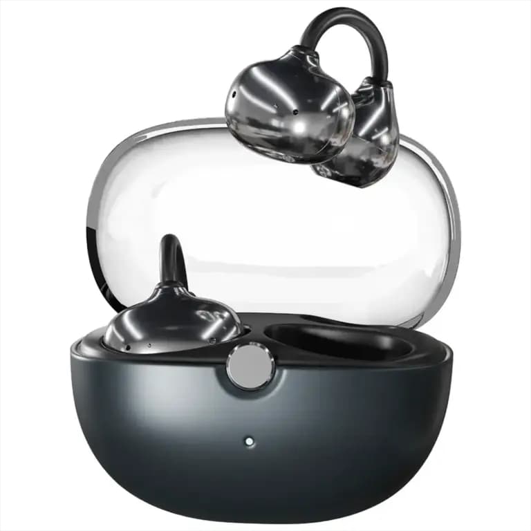 True Wireless Earbuds with Charging Case