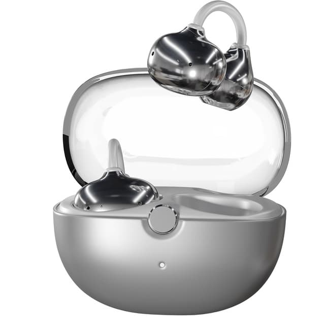 True Wireless Earbuds with Charging Case