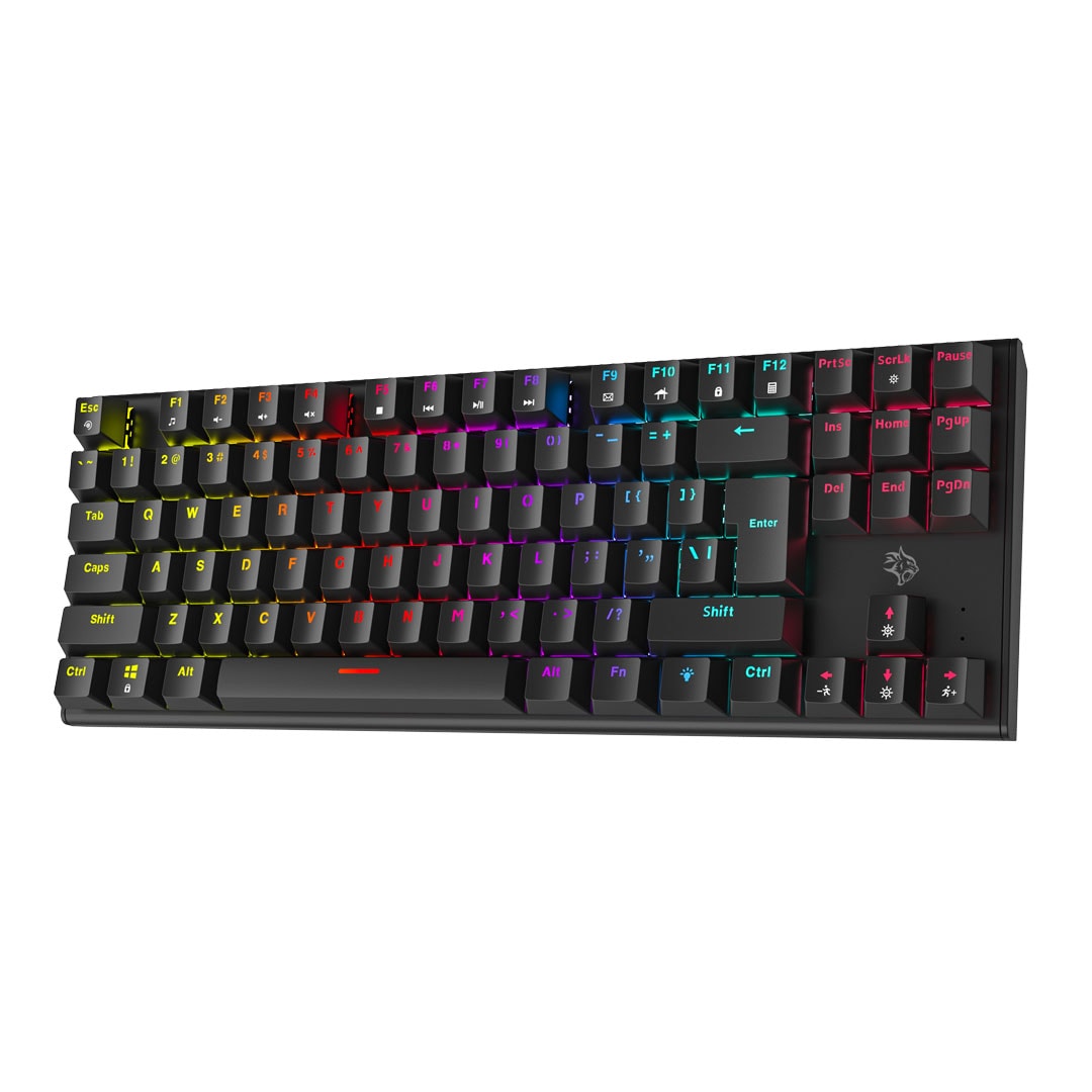 RGB Backlit Mechanical Keyboard
