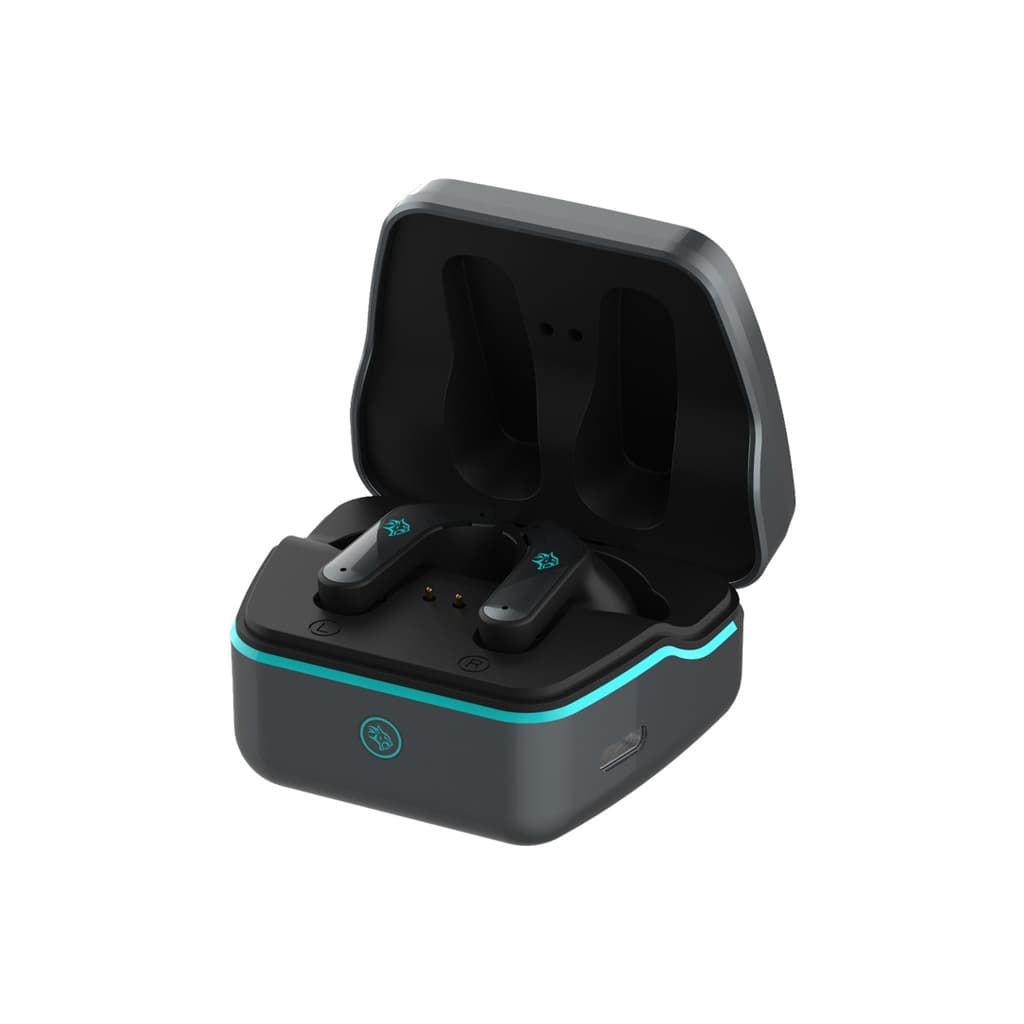 Wireless Bluetooth Earbuds with Charging Case
