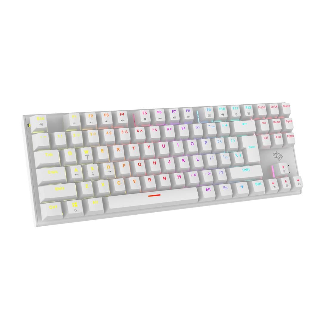 RGB Backlit Mechanical Keyboard