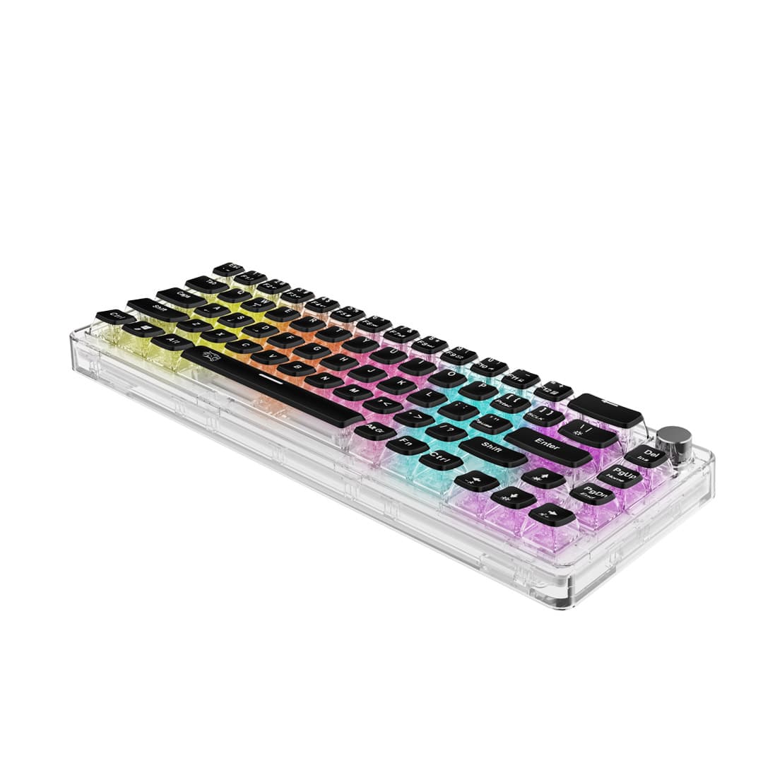 RGB Mechanical Keyboard with Transparent Case