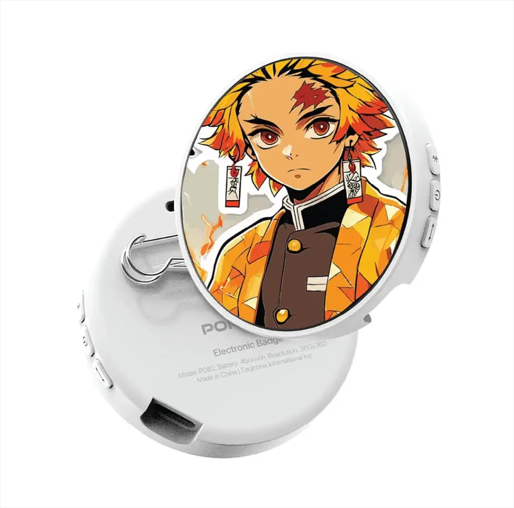 Portable Electronic Badge Display