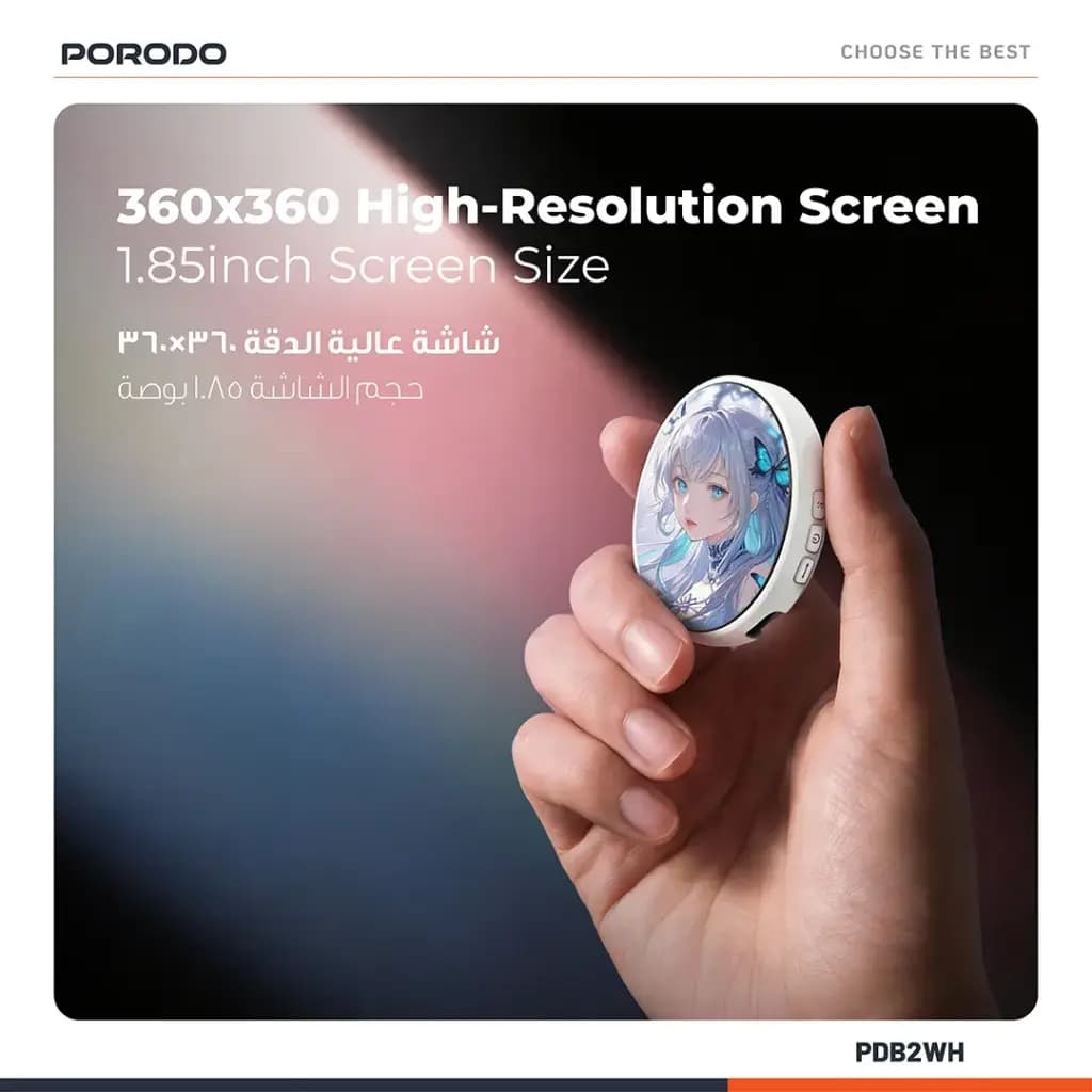Portable Electronic Badge Display