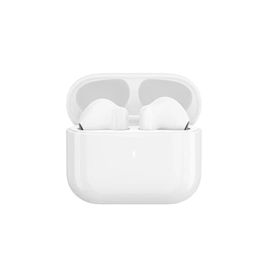 True Wireless Bluetooth Earbuds with Charging Case