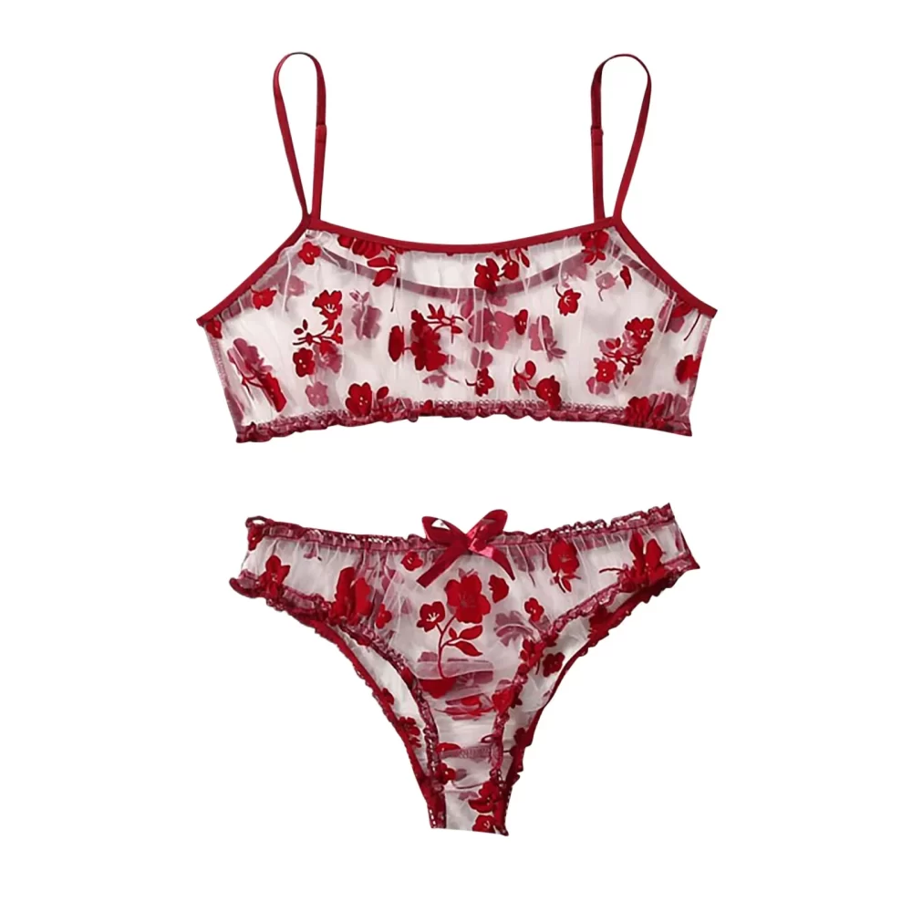 Sexy Red Sheer Lingerie Set For Women 2pcs Floral Embroidery Tube Tops Bralette Panties Temptation Brassiere And Thong Set Teddy - Image 2