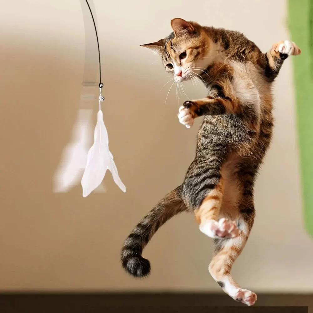 Cat Teaser Toy - Interactive Bell & Feather Wand - Long Suction Cup Pole for Exciting Playtime Adventures - Ultimate Cat Toy - Image 6