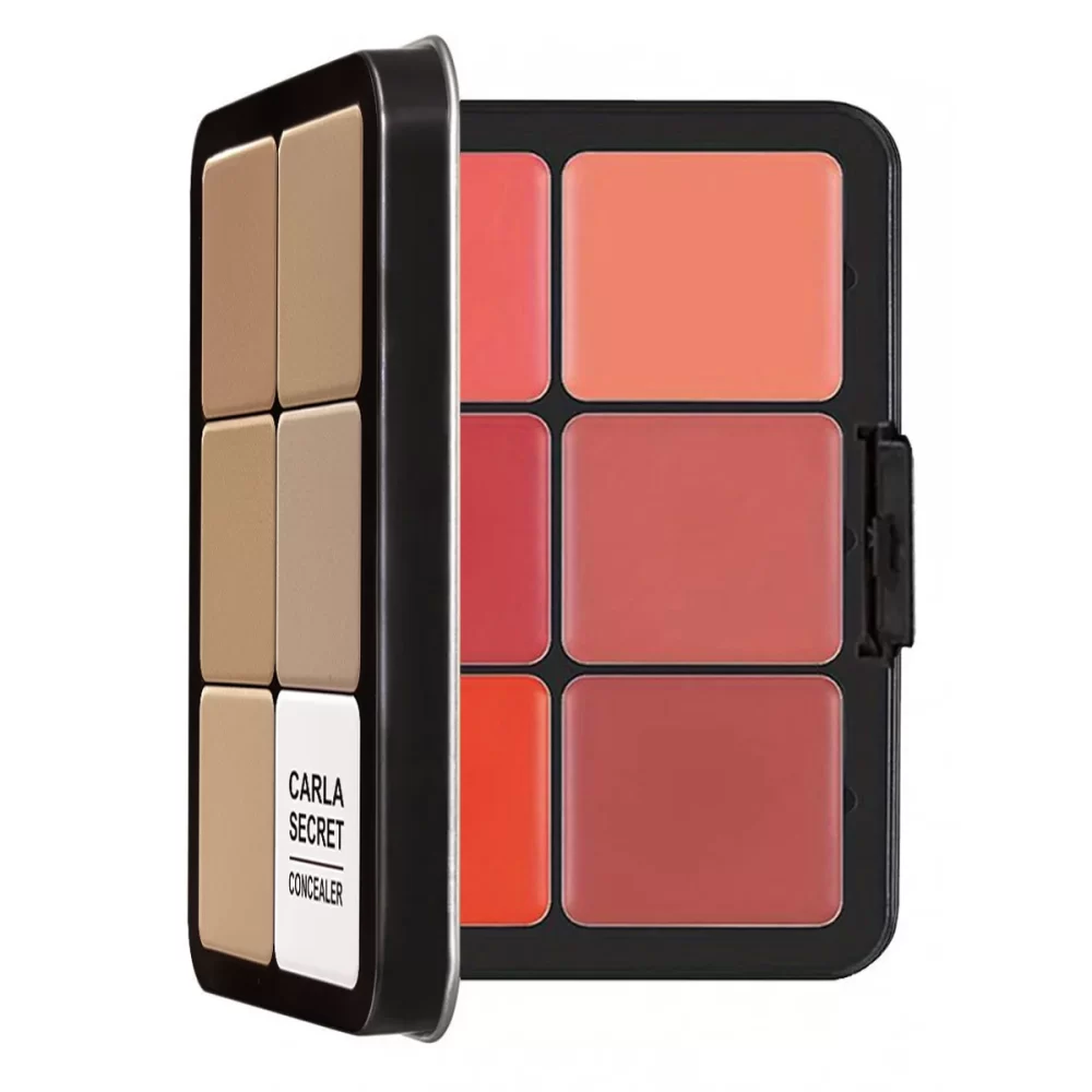 12-color iron box concealer blush cream matte highlight contour makeup all-in-one palette - Image 2