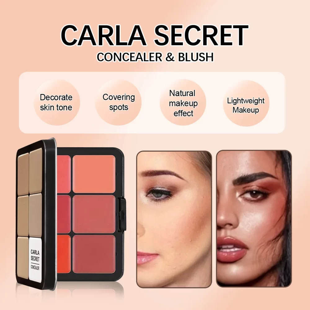 12-color iron box concealer blush cream matte highlight contour makeup all-in-one palette - Image 5