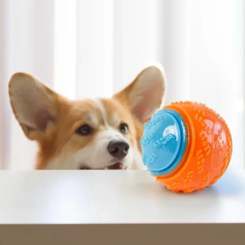 Bite-resistant Pet Dog Toy Rubber Ball Beef-flavored Elastic Ball To Prevent Dog From Destroying Things Dog Training Supply - Image 2